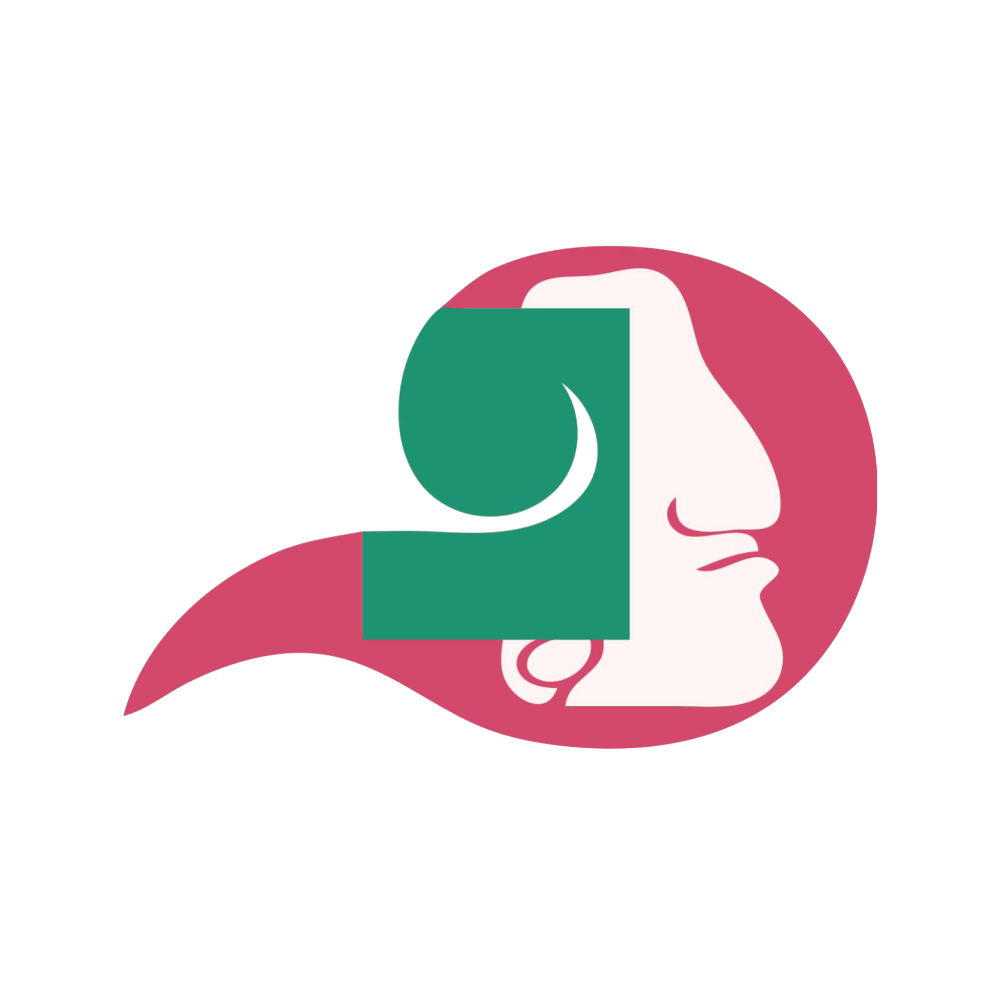 Logo de Solchi'